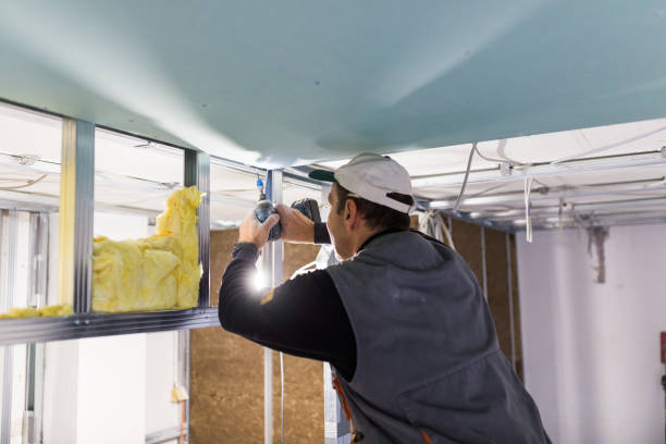 Insulation Contractors for Homes in Petersburg, AK